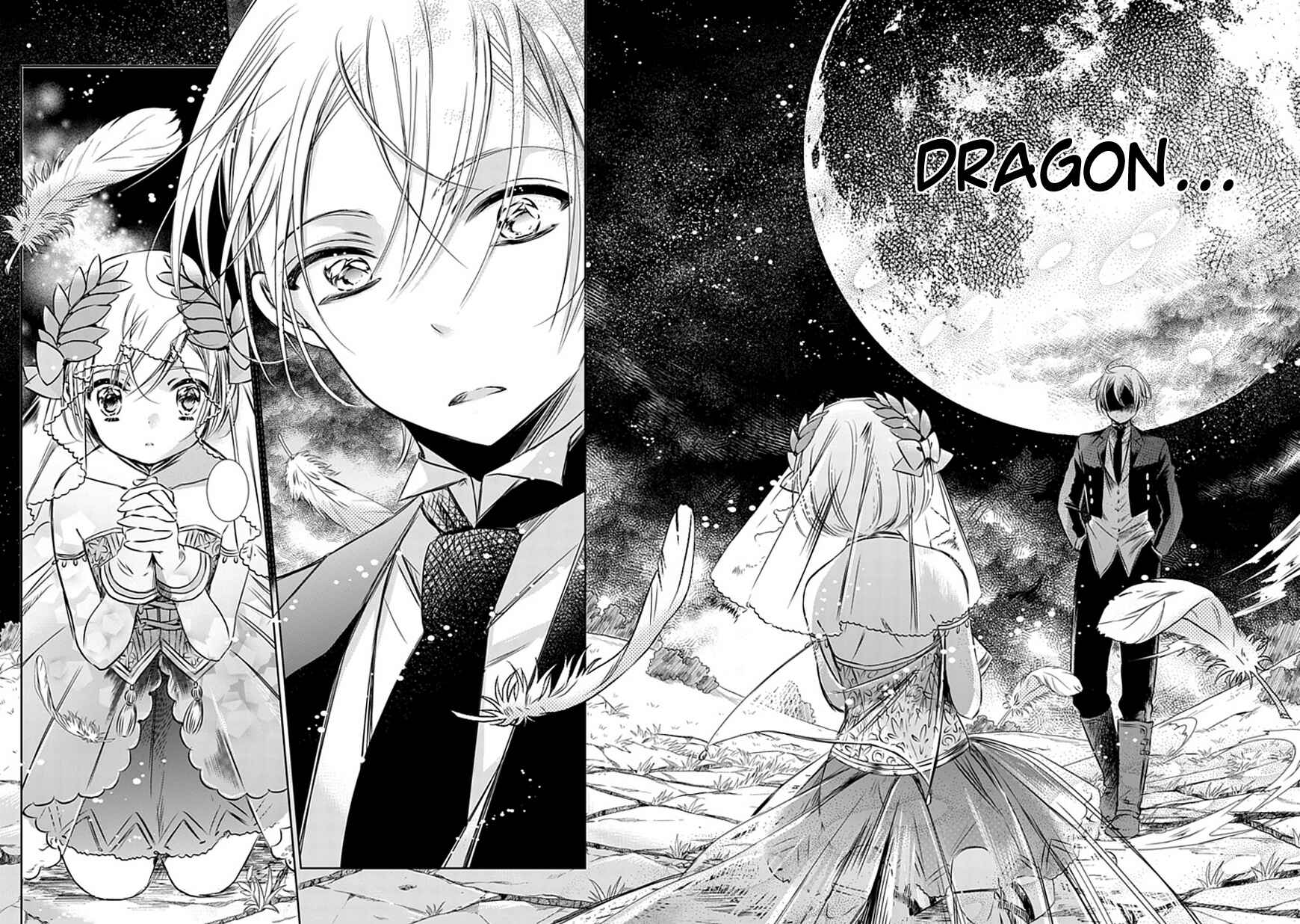 Page 33 Chapter 11 Majo no Shinzou