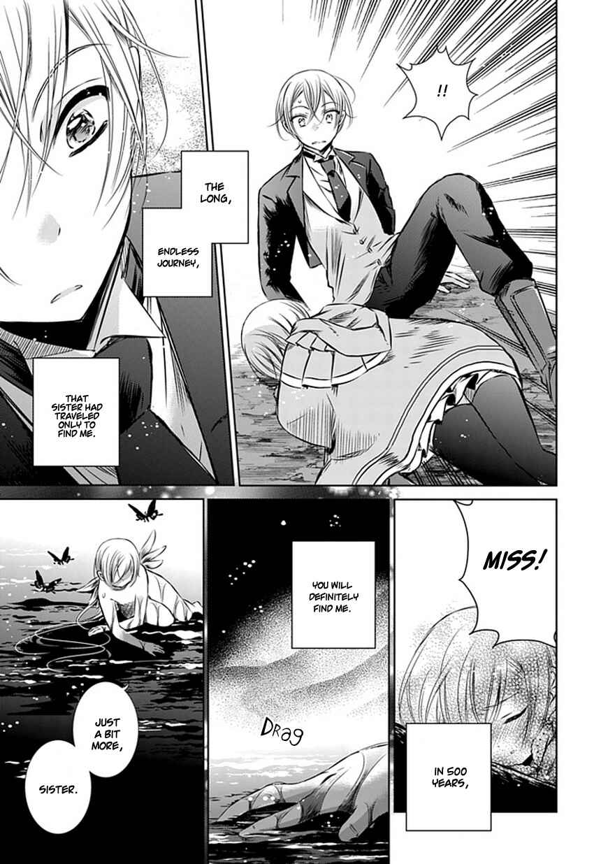 Page 27 Chapter 10 Majo no Shinzou