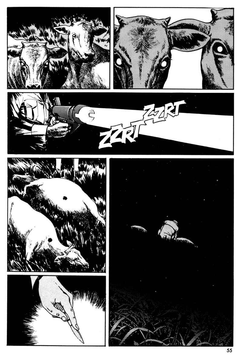 Page 26 Chapter 2 Saber Tiger