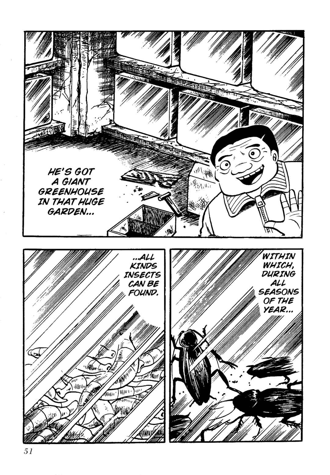 Page 4 Chapter 5 Insect Hell in the Basement
