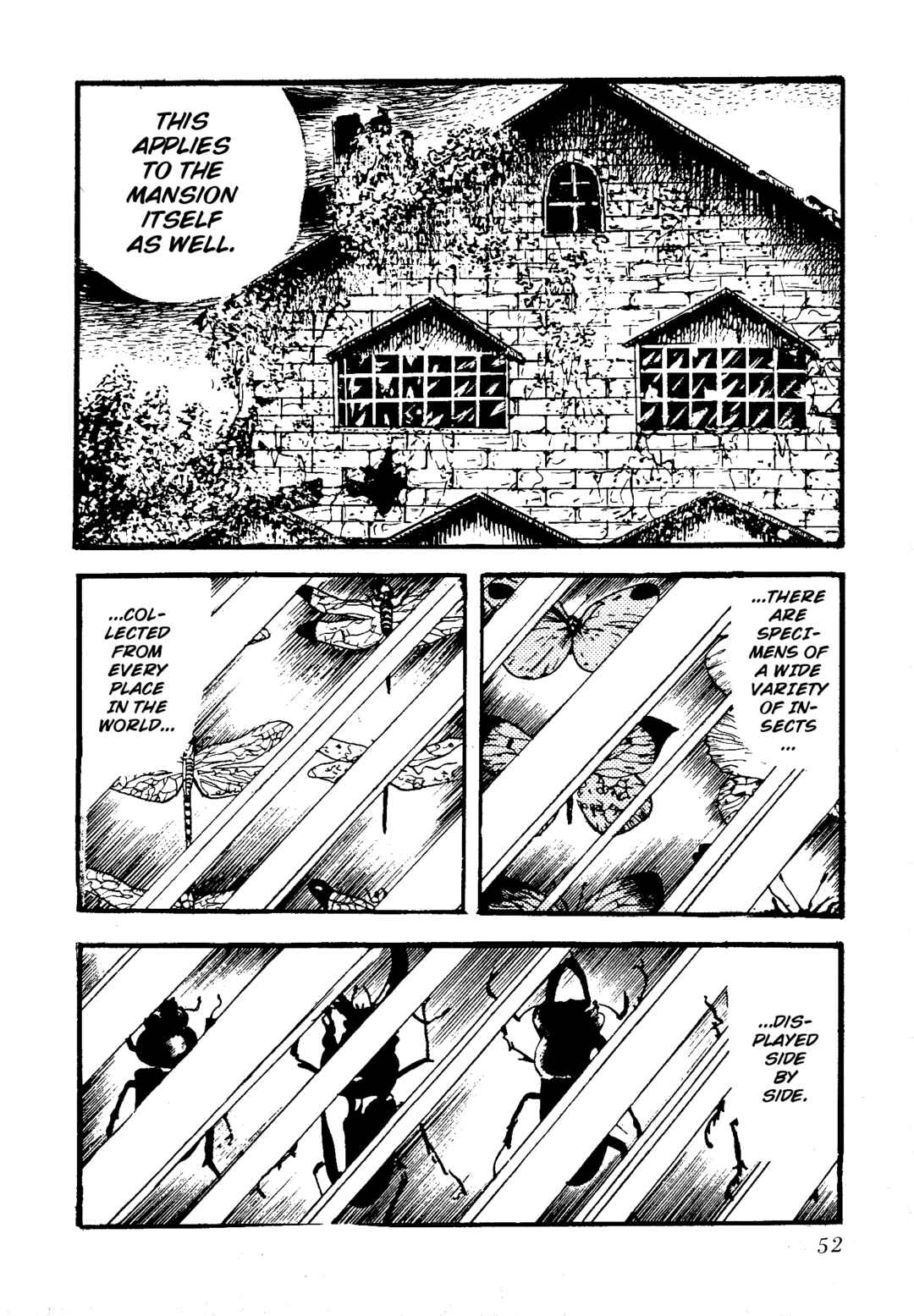 Page 5 Chapter 5 Insect Hell in the Basement
