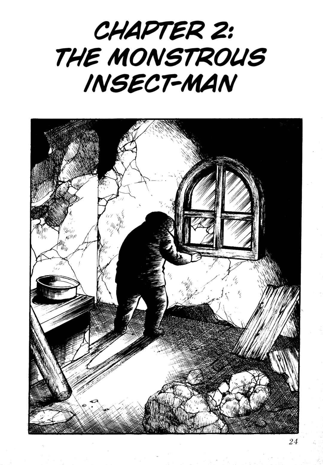 Page 1 Chapter 3 Insect Hell in the Basement