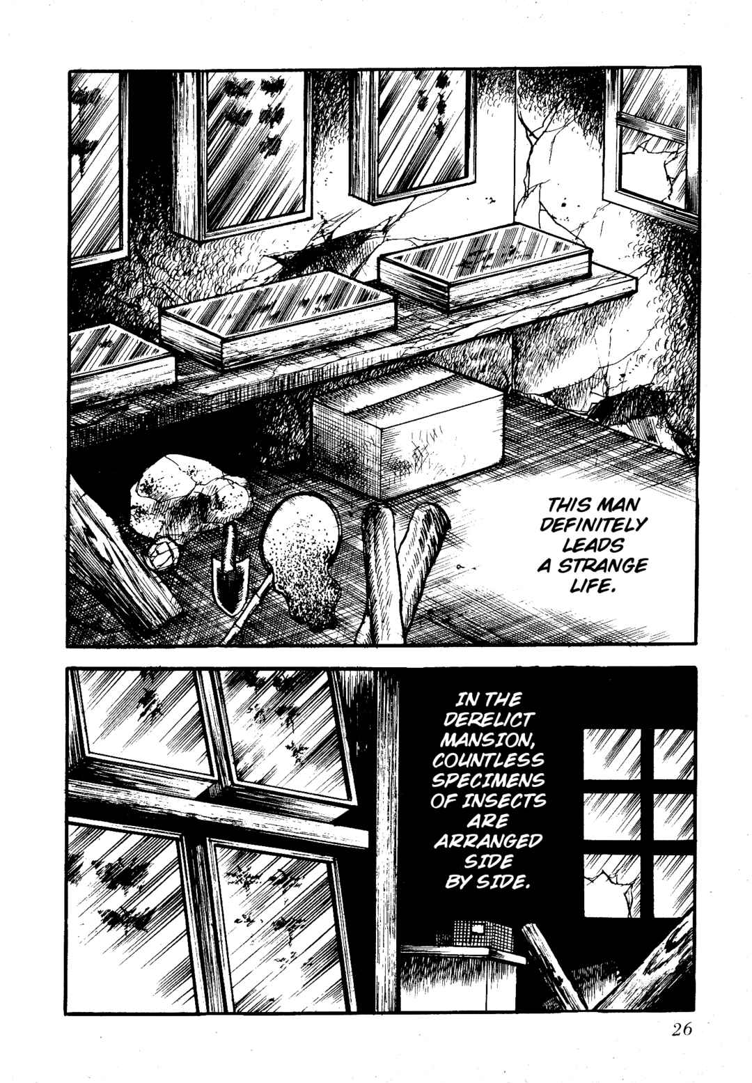 Page 3 Chapter 3 Insect Hell in the Basement