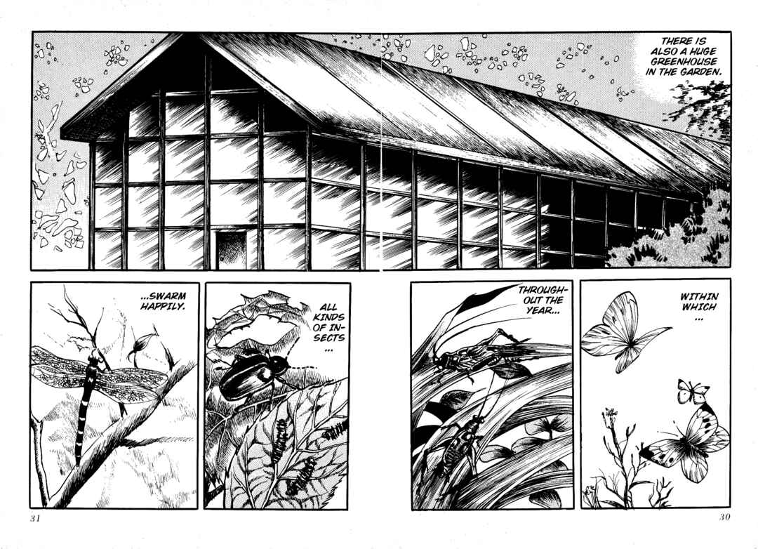Page 7 Chapter 3 Insect Hell in the Basement
