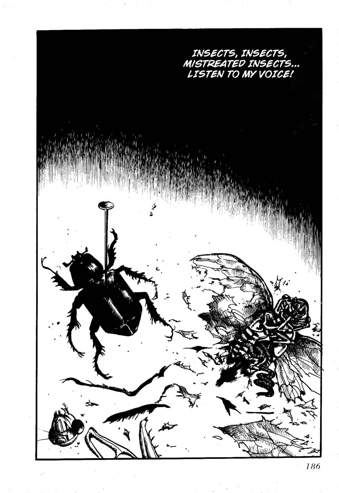 Page 13 Chapter 12 Insect Hell in the Basement