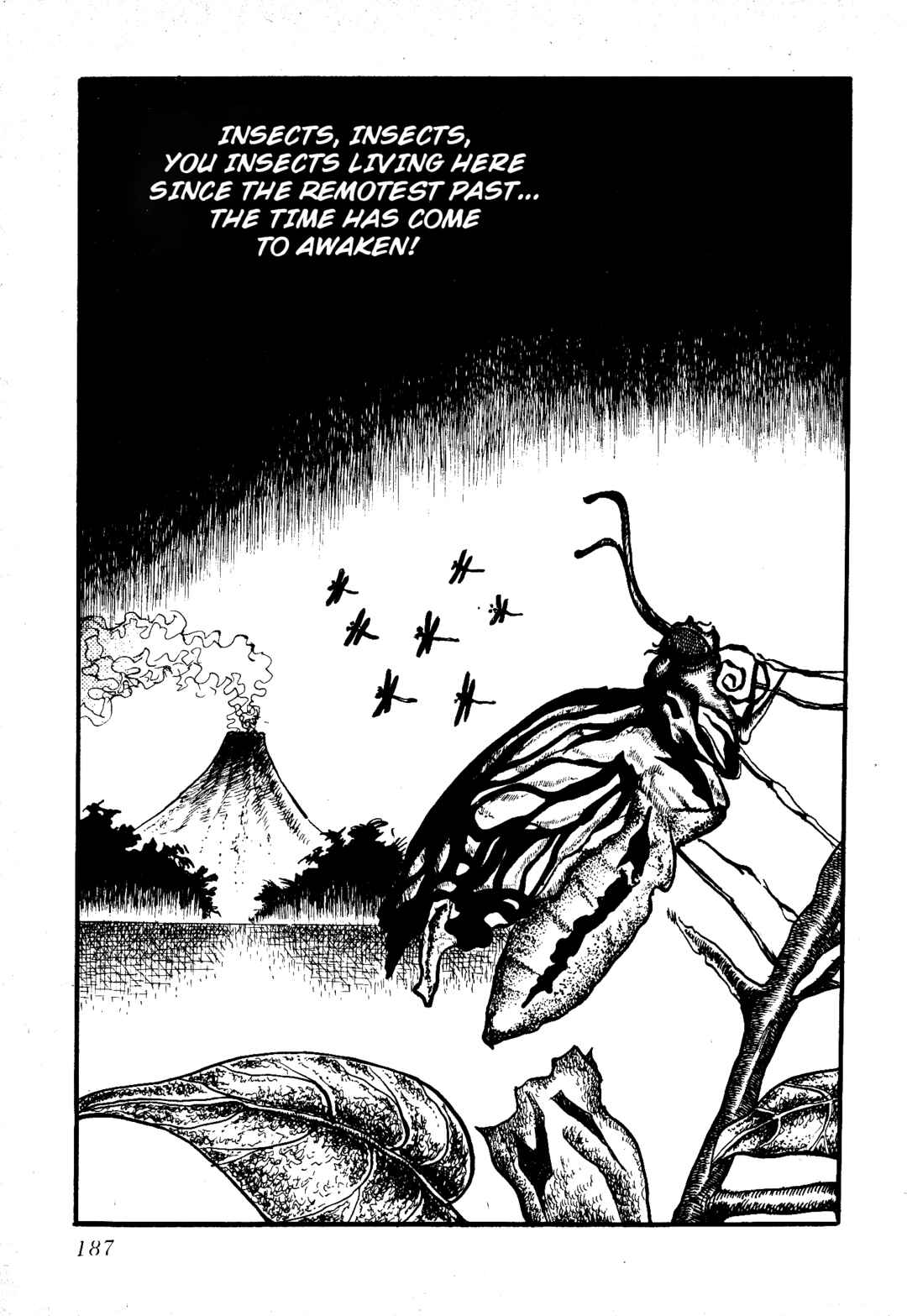 Page 14 Chapter 12 Insect Hell in the Basement
