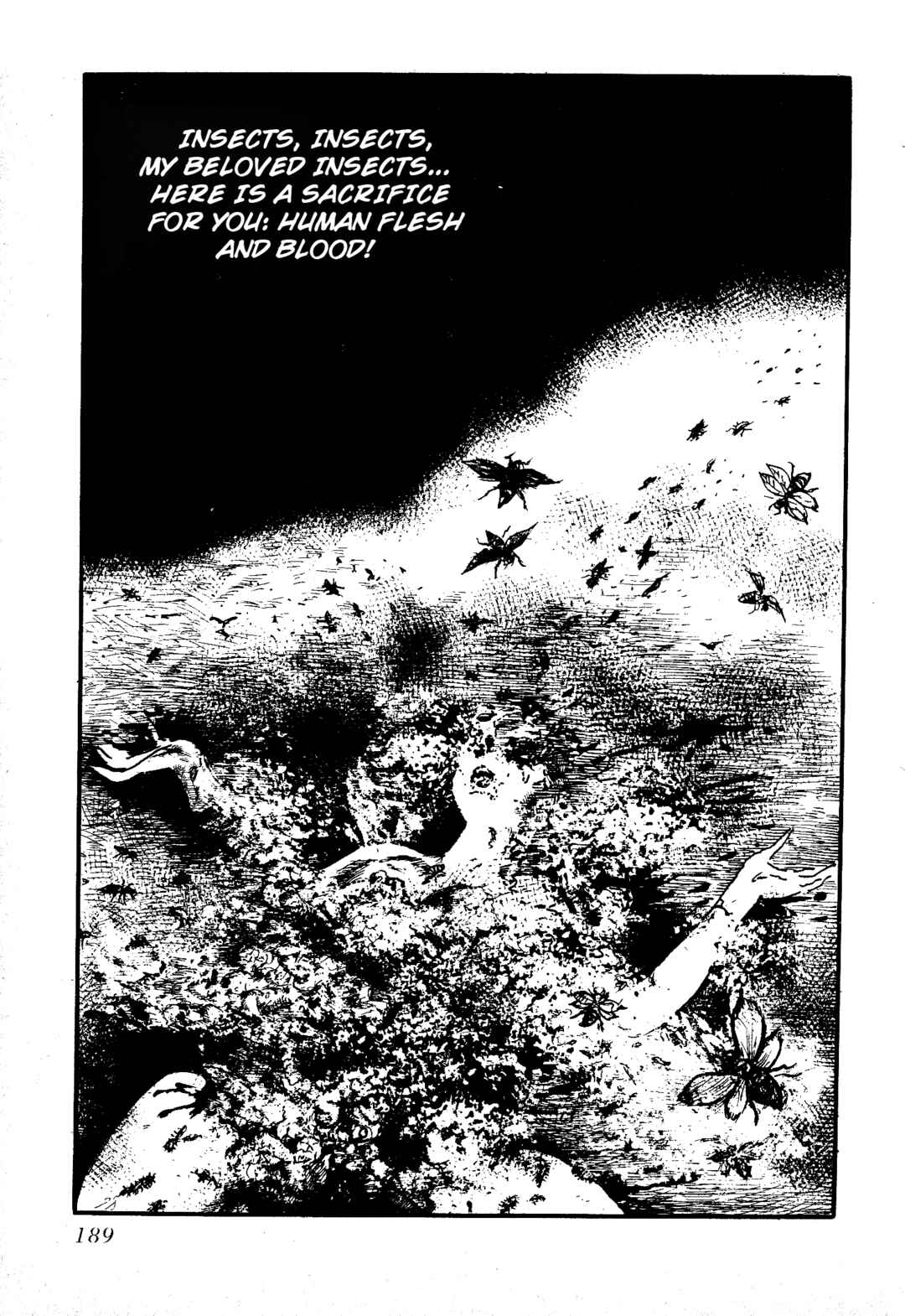 Page 16 Chapter 12 Insect Hell in the Basement
