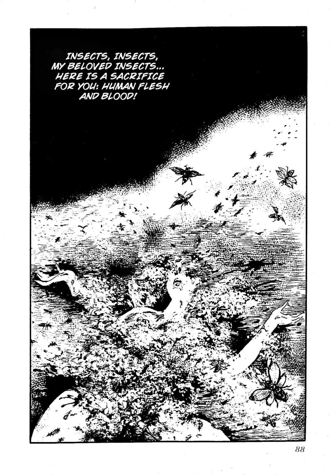 Page 5 Chapter 8 Insect Hell in the Basement