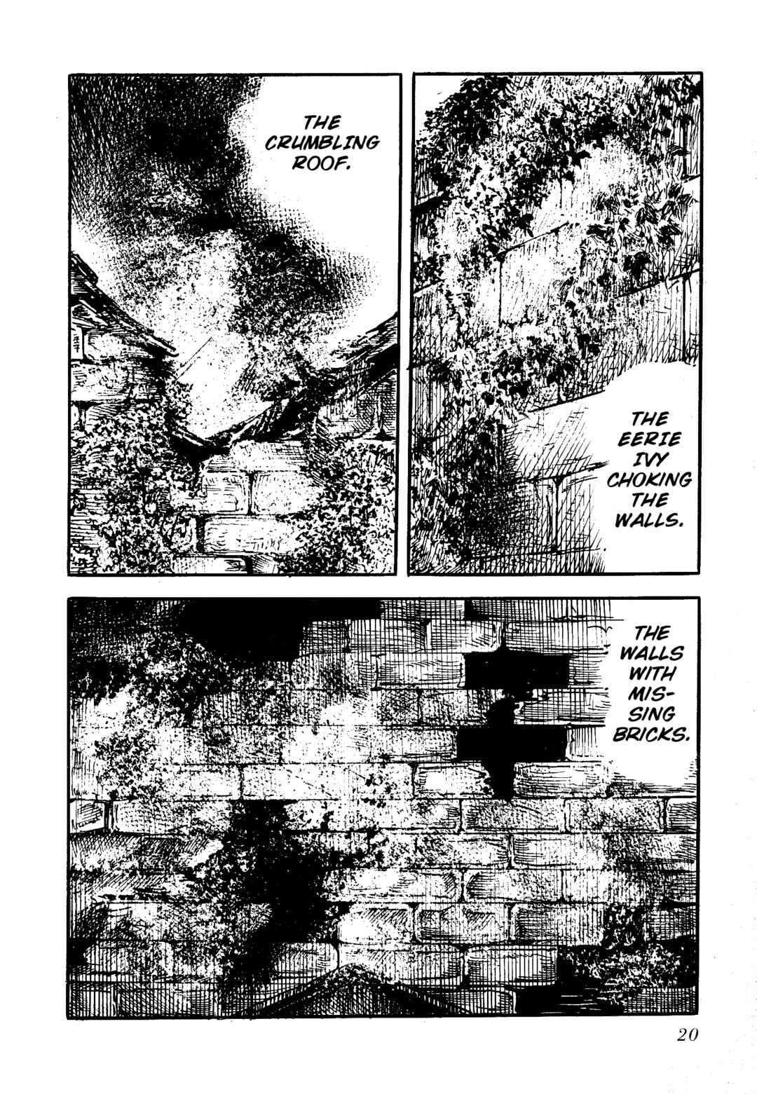 Page 6 Chapter 2 Insect Hell in the Basement