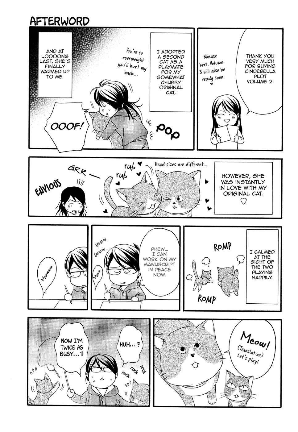 Page 34 Chapter 10 Cinderella Plot