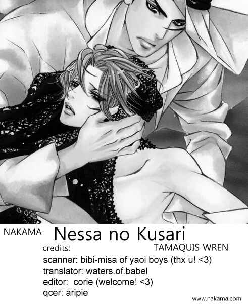 Page 37 Chapter 3 Nessa no Kusari