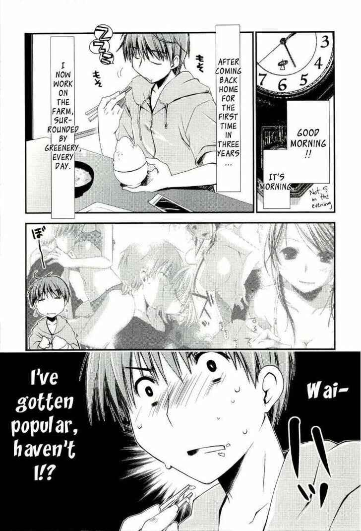 Page 1 Chapter 3 Colorful Harvest