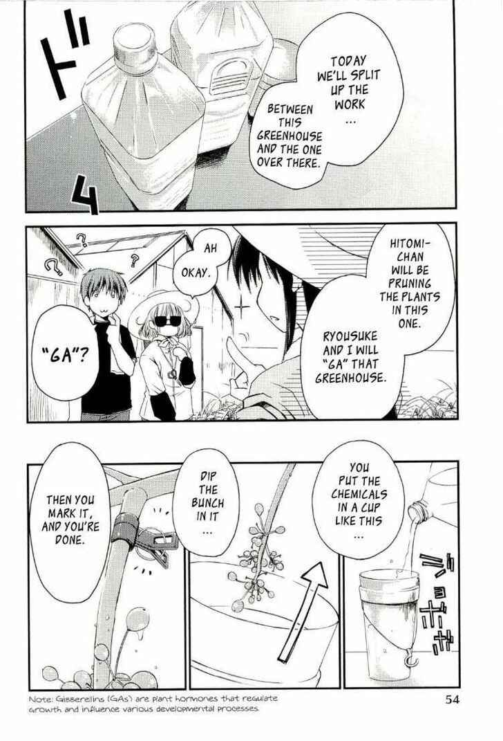 Page 4 Chapter 3 Colorful Harvest