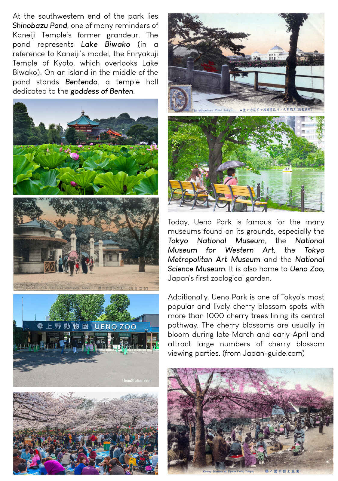 Page 31 Chapter 9 Namida Ame to Serenade