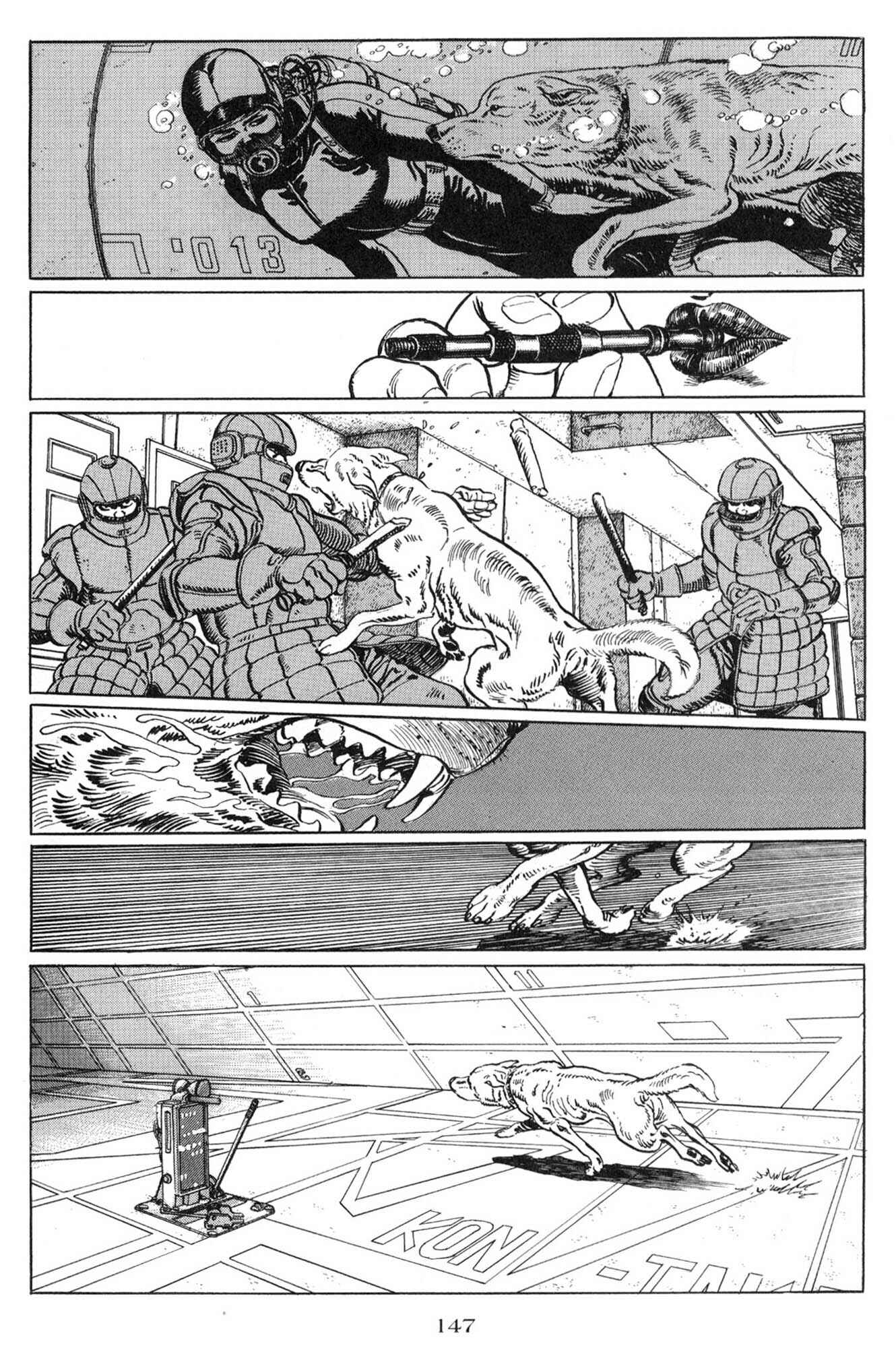 Page 5 Chapter 6 Blanca