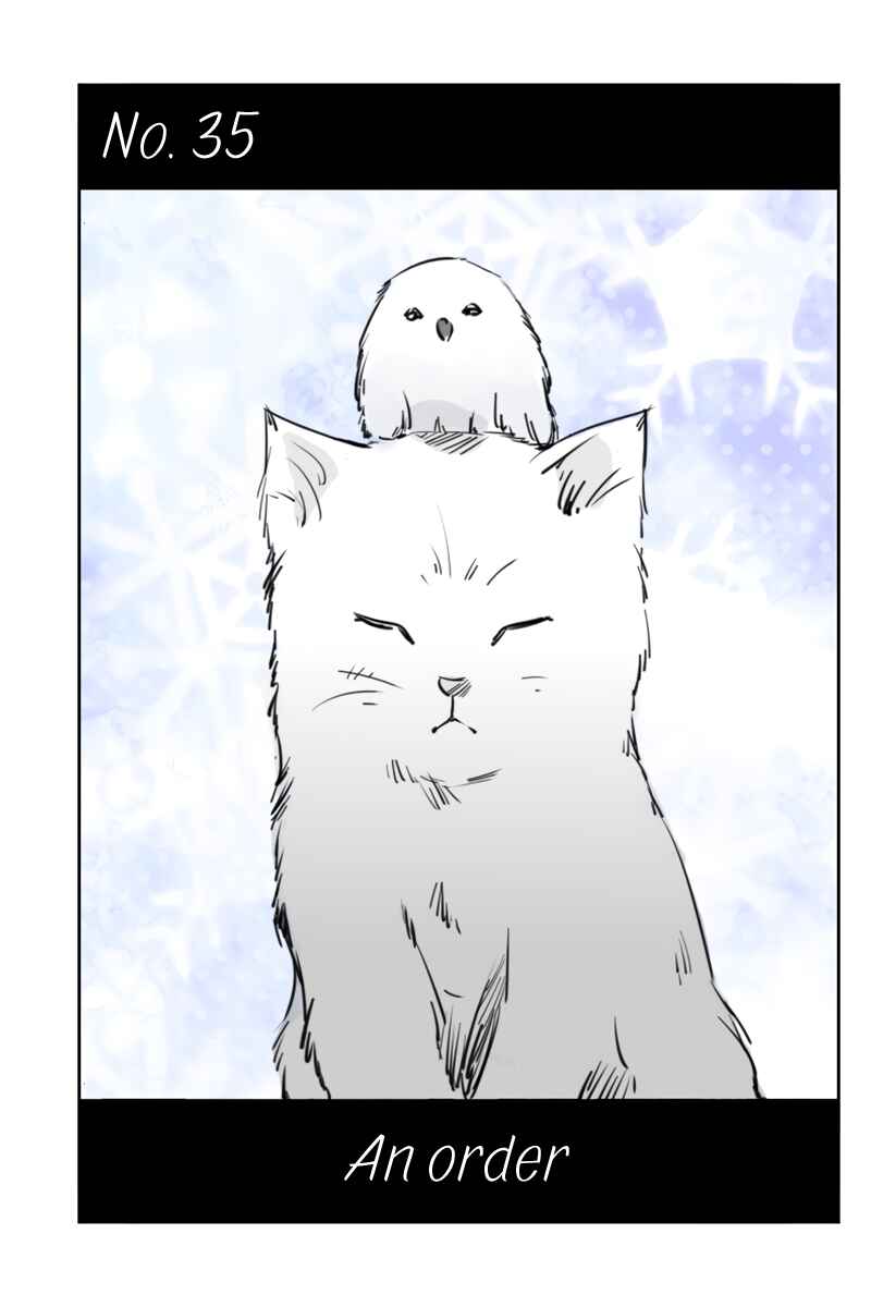 Page 1 Chapter 35 Hikari no Iroha