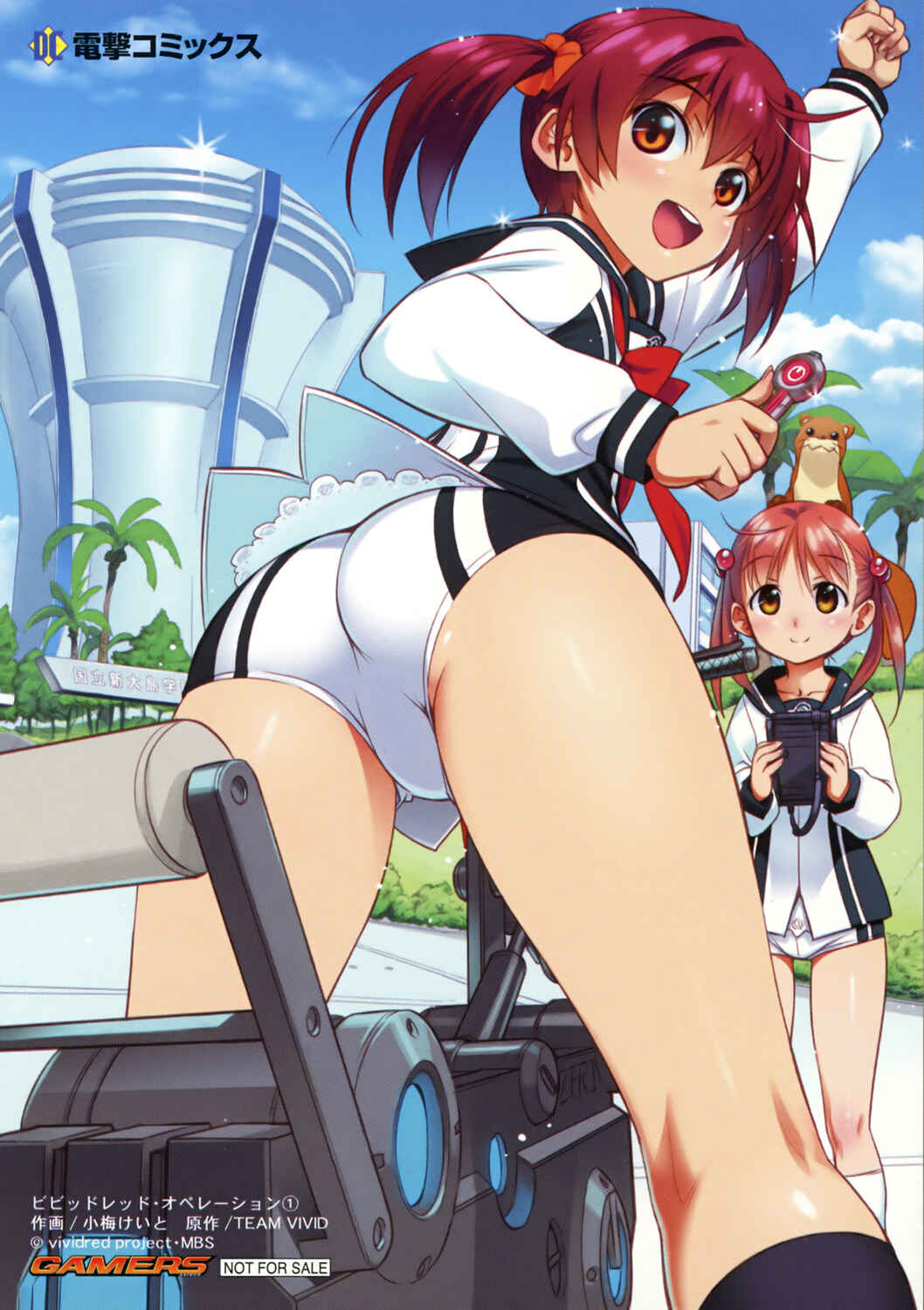 Page 45 Chapter 2 Vividred Operation