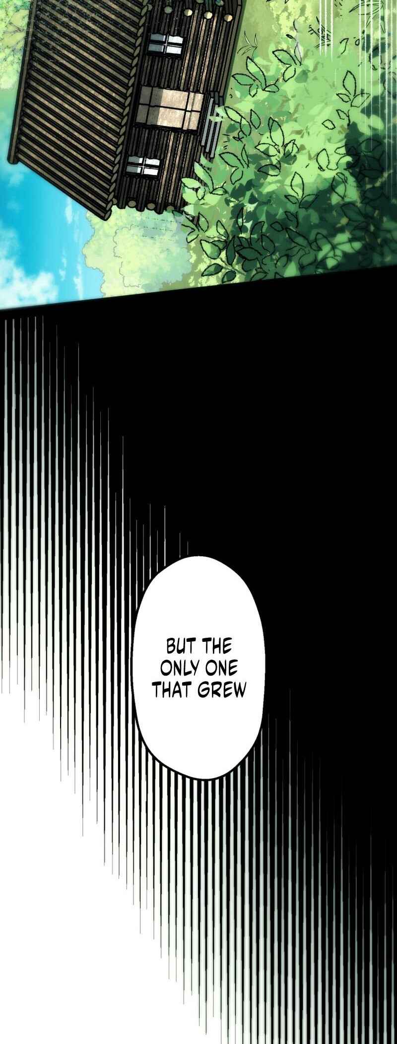 Page 56 Chapter 5 BC - Blood Cell