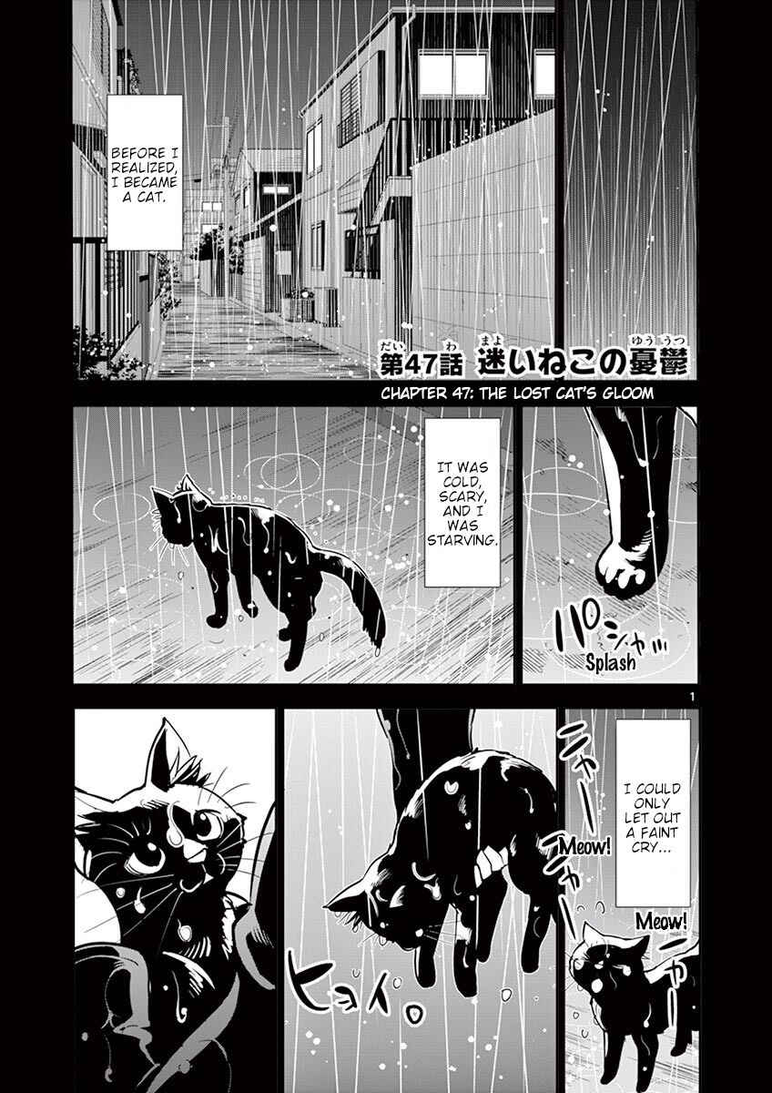 Page 1 Chapter 47 After School Dice Club
