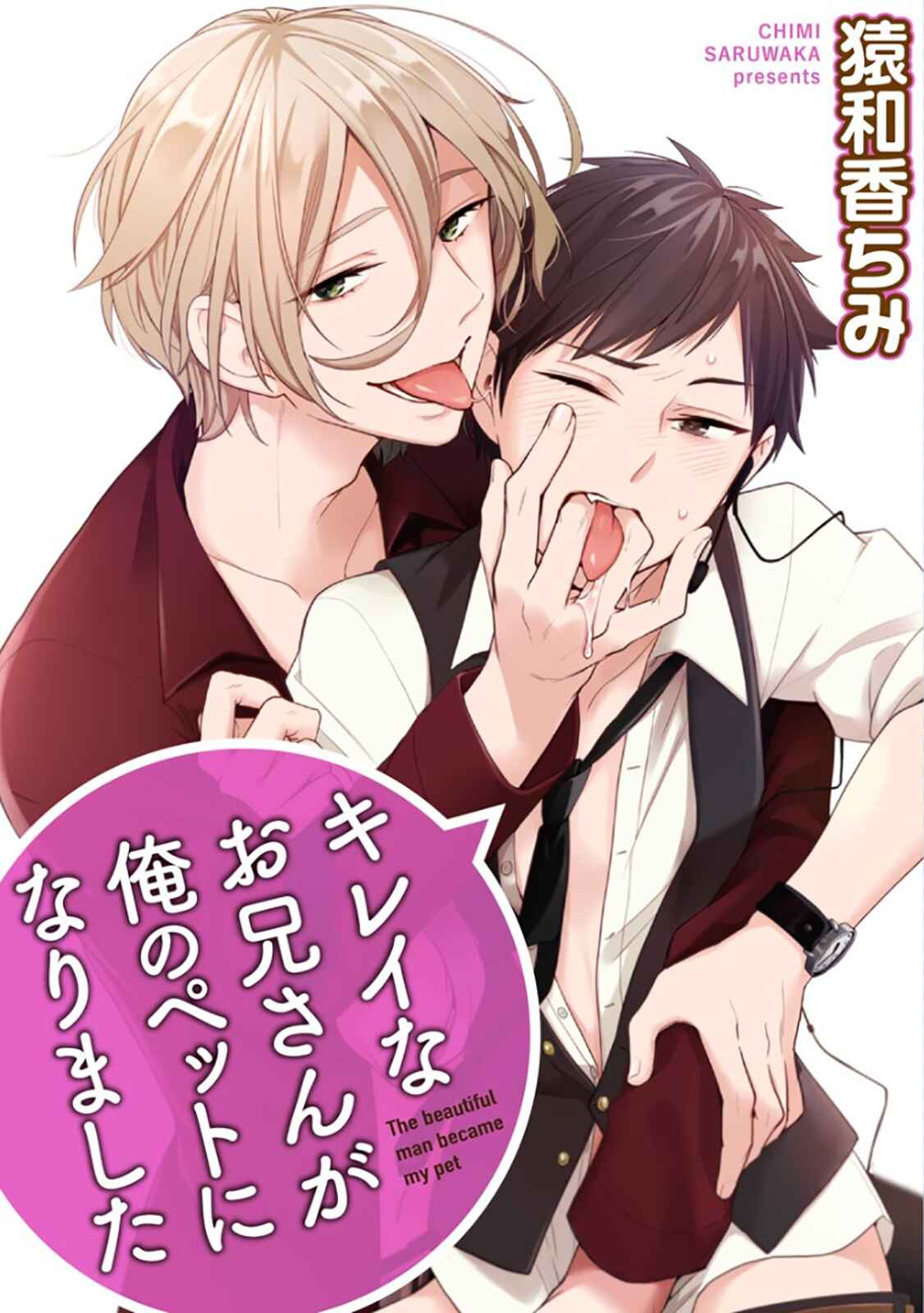Page 5 Chapter 2 Kirei na Onii-san ga Ore no Pet ni Narimashita