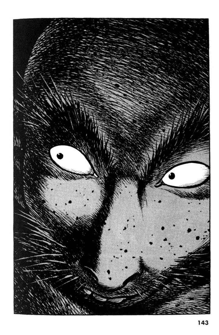 Page 16 Chapter 17 A Battle of Wits