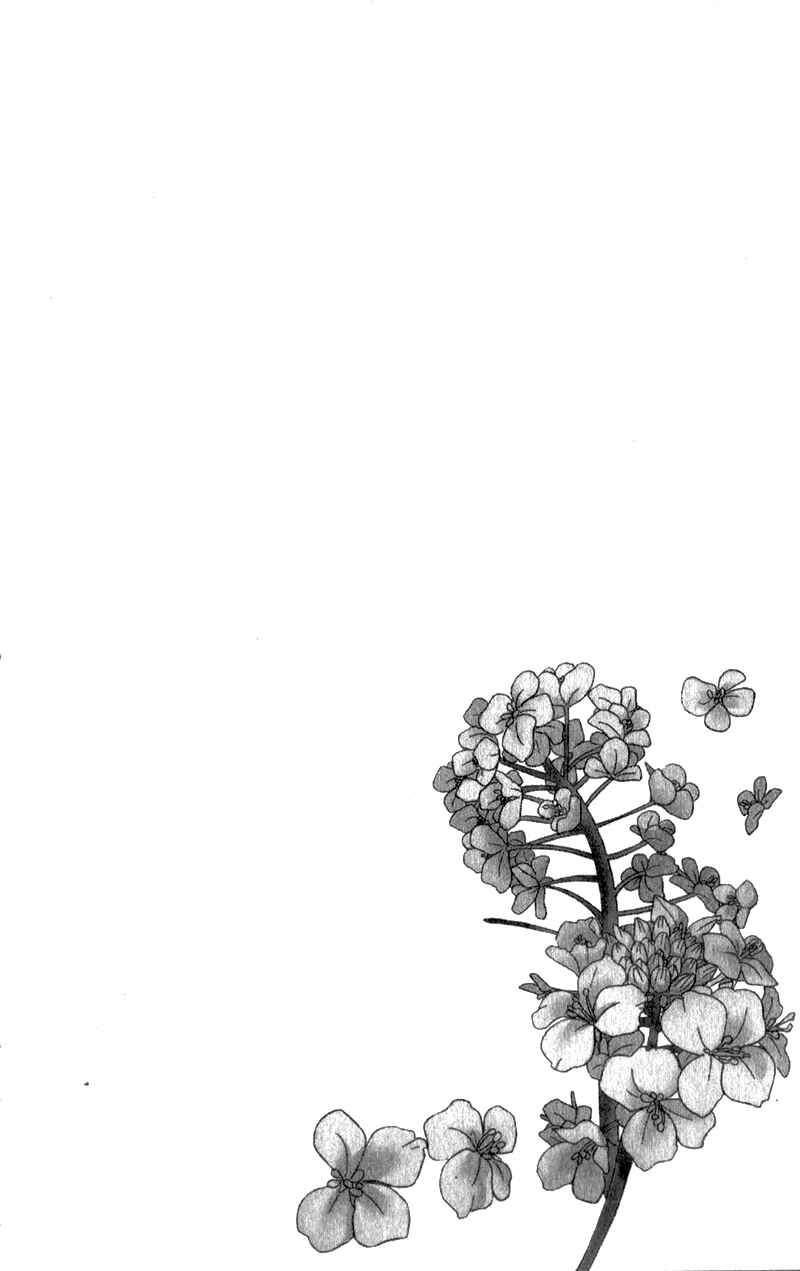 Page 6 Chapter 12 Nanoka no Kare