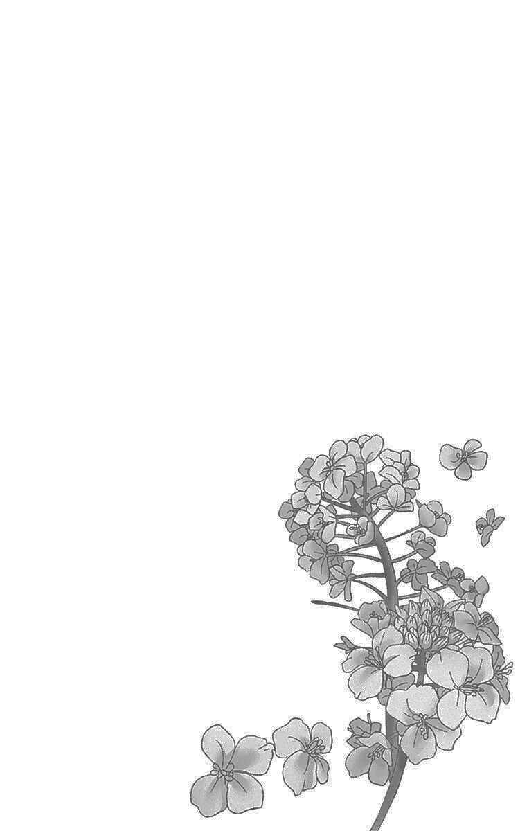 Page 2 Chapter 49 Nanoka no Kare