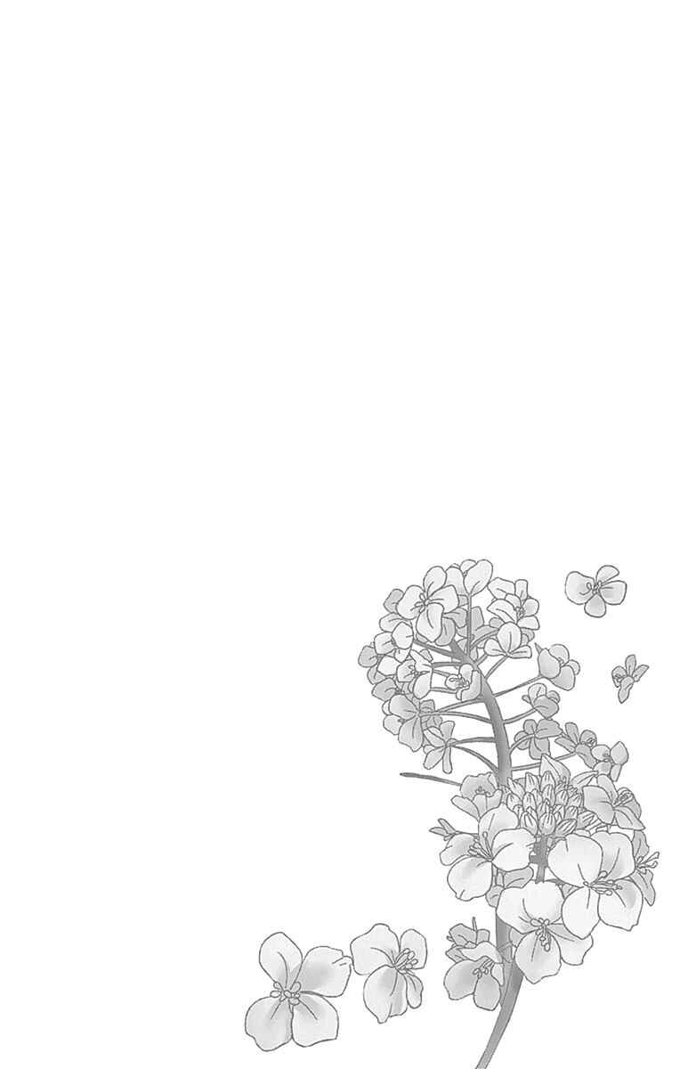 Page 5 Chapter 43 Nanoka no Kare
