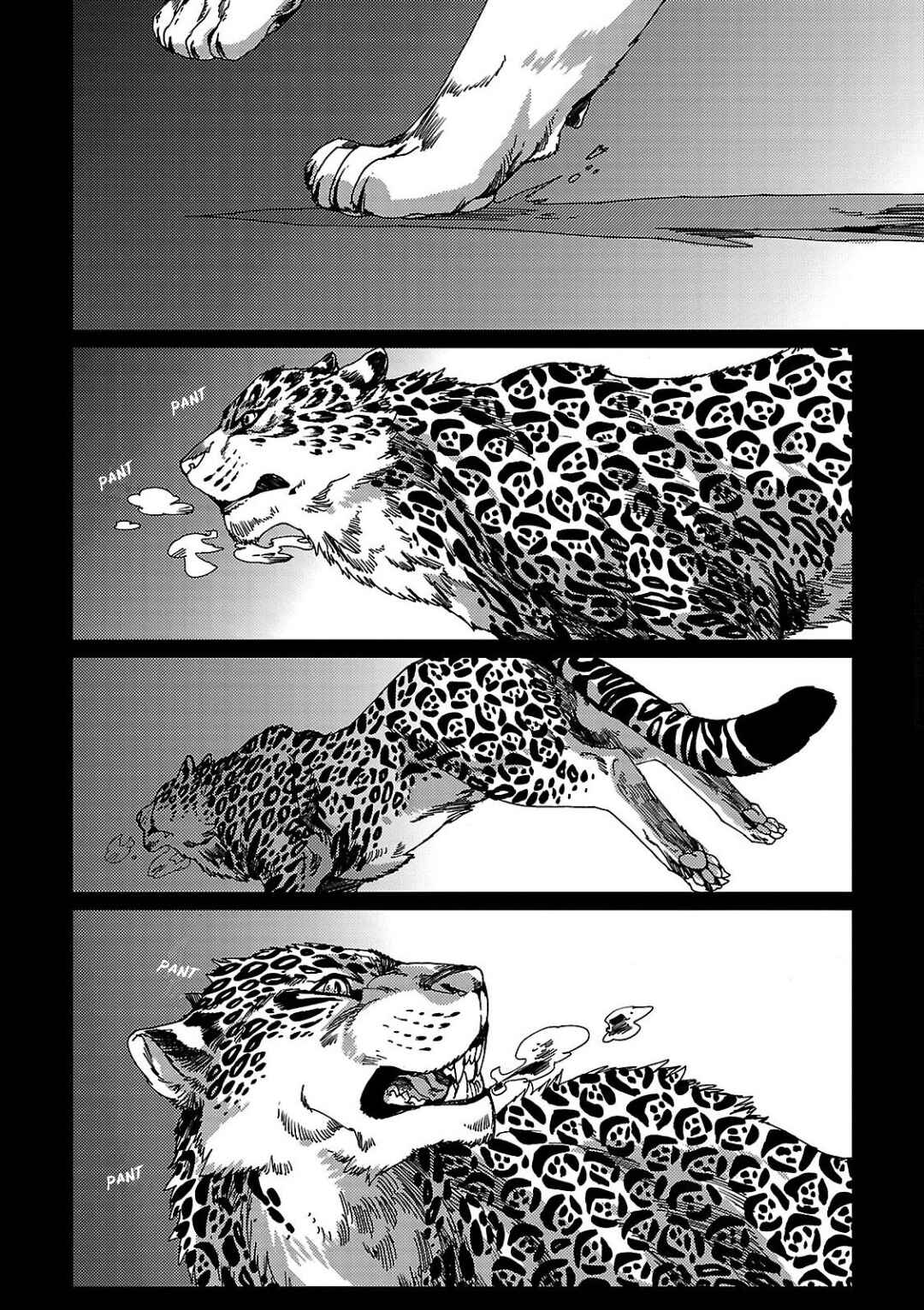Page 4 Chapter 2 Meteora