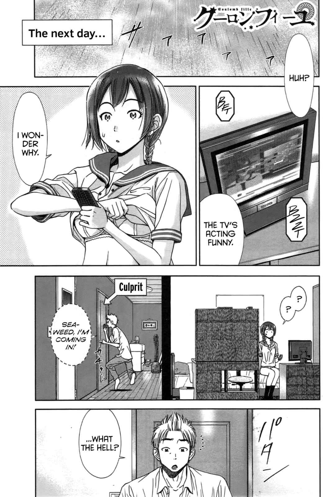 Page 1 Chapter 7 Coulomb Fille