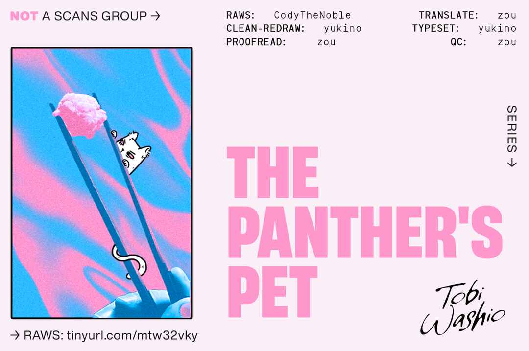 Page 2 Chapter 2 The Panthers Pet