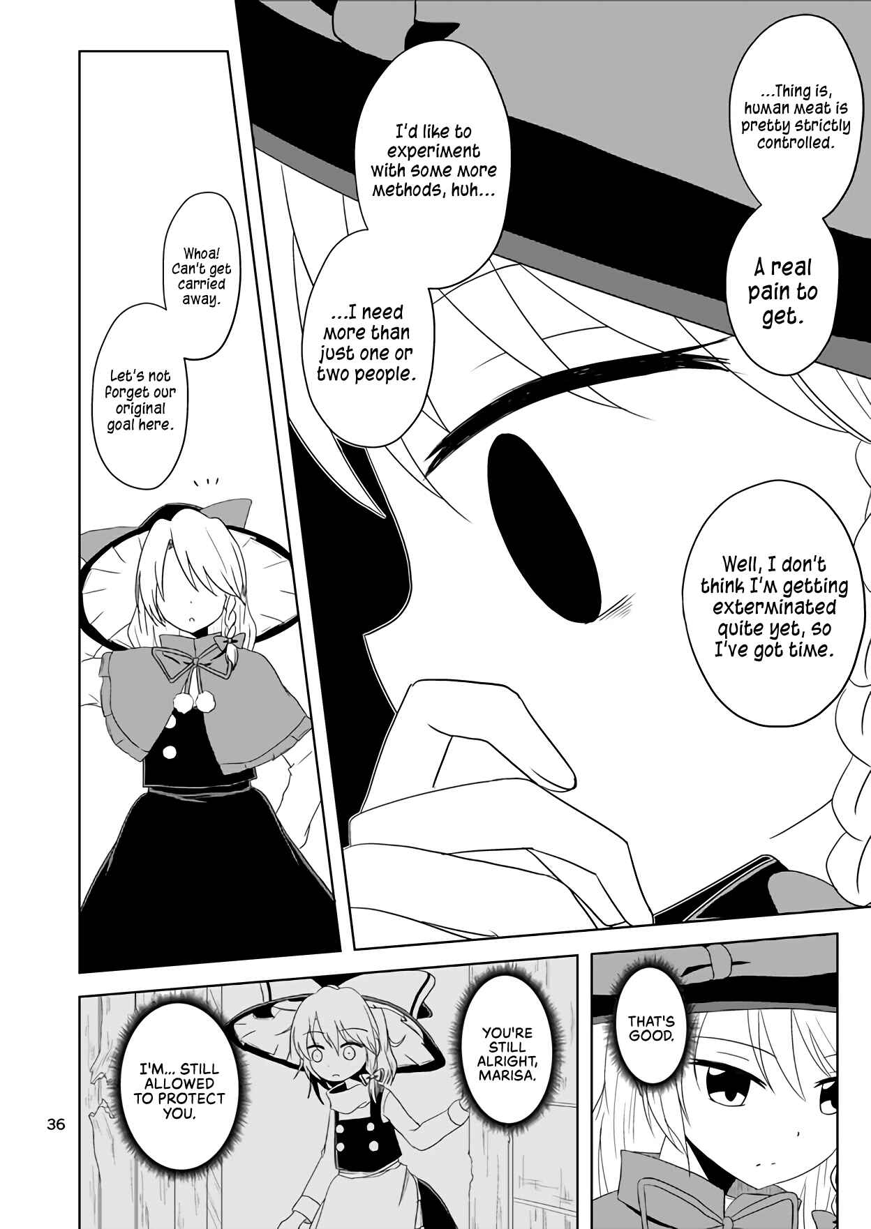 Page 37 Chapter Unknown_337f Touhou ~ Thus, the Hakurei (Doujinshi)