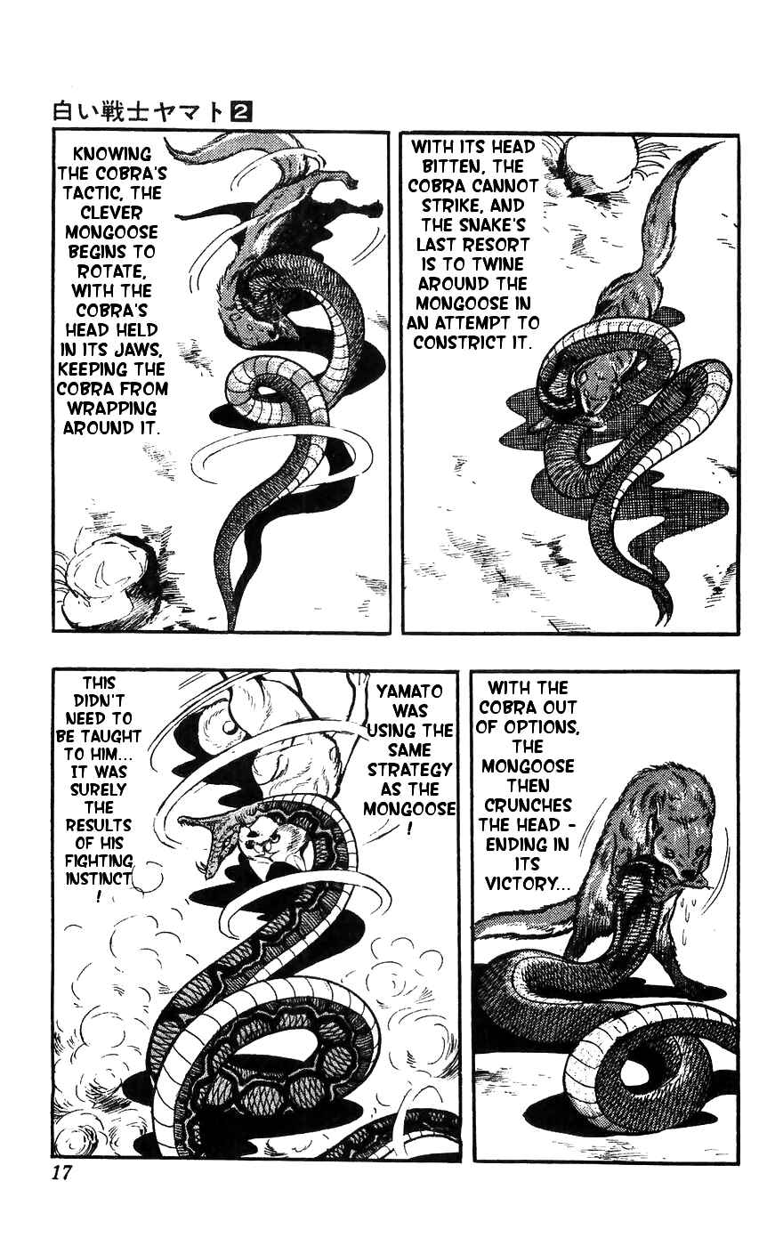 Page 17 Chapter 6 Yamato the White Fighter