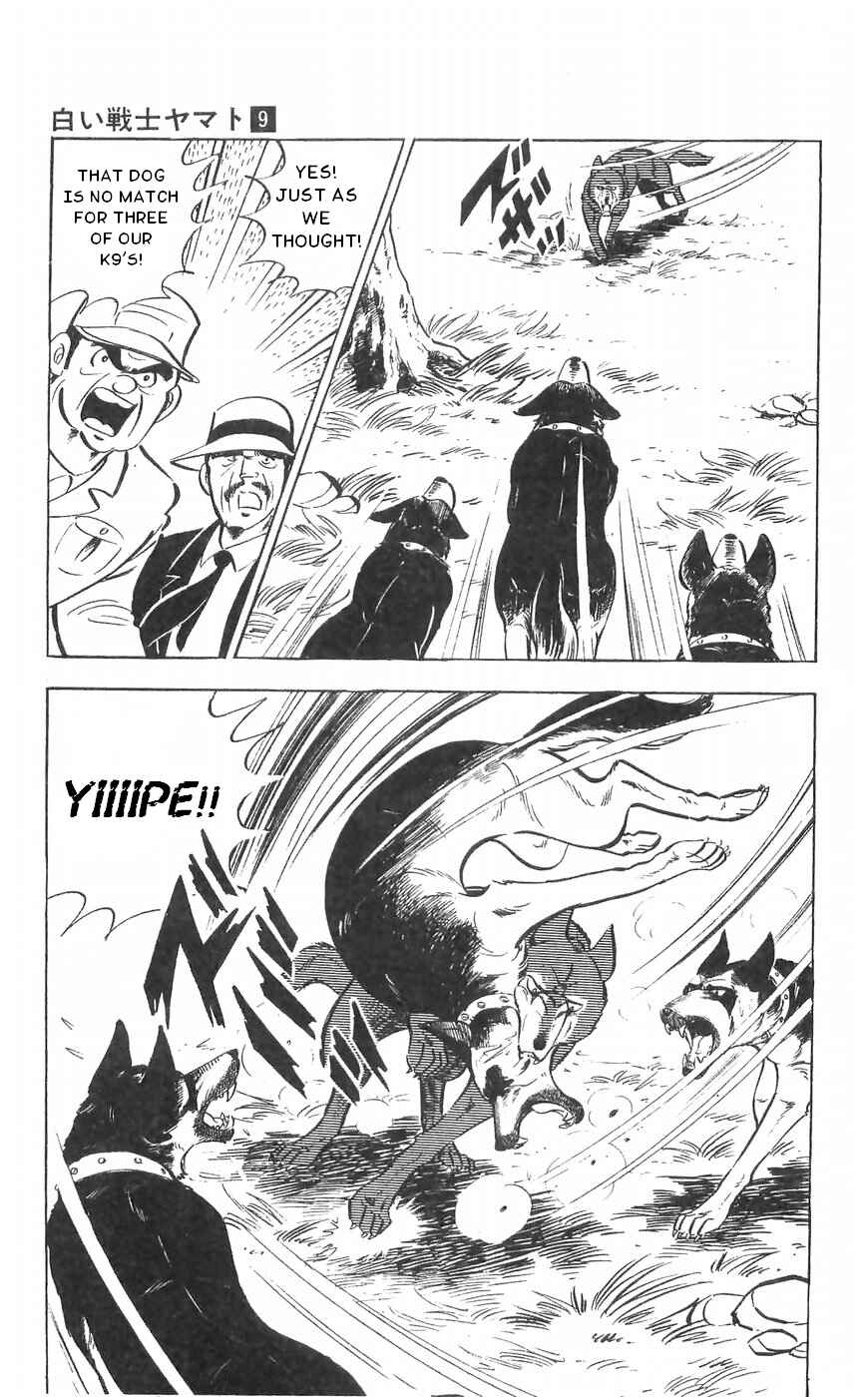 Page 31 Chapter 36 Yamato the White Fighter