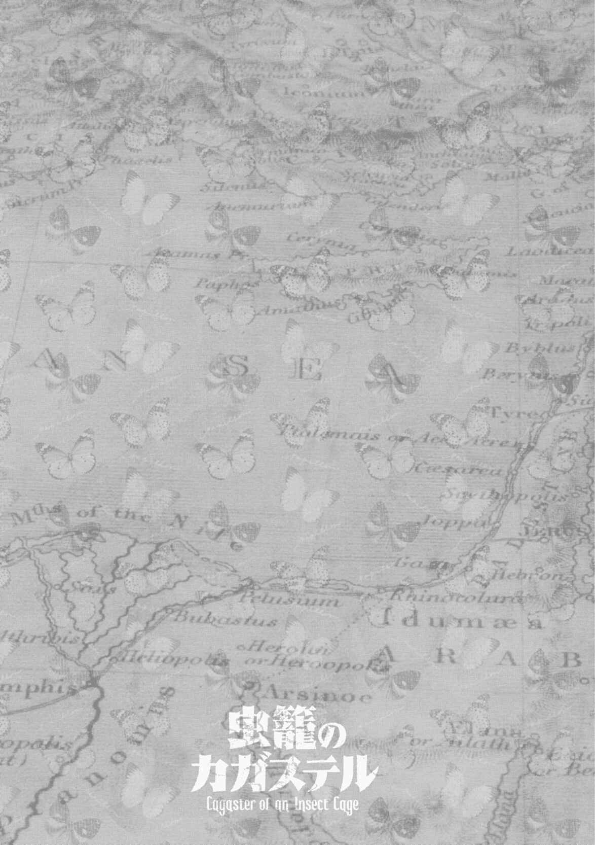 Page 29 Chapter 11.5 Cagaster