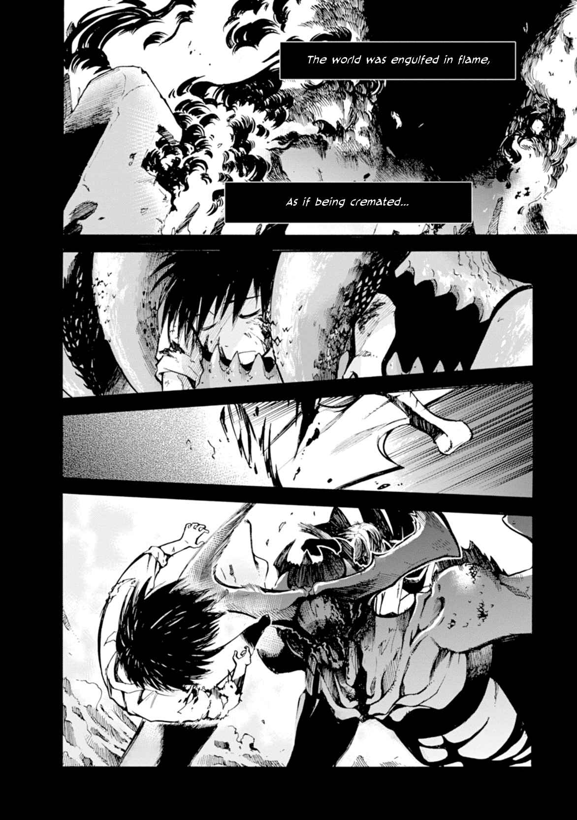 Page 3 Chapter 11 Cagaster