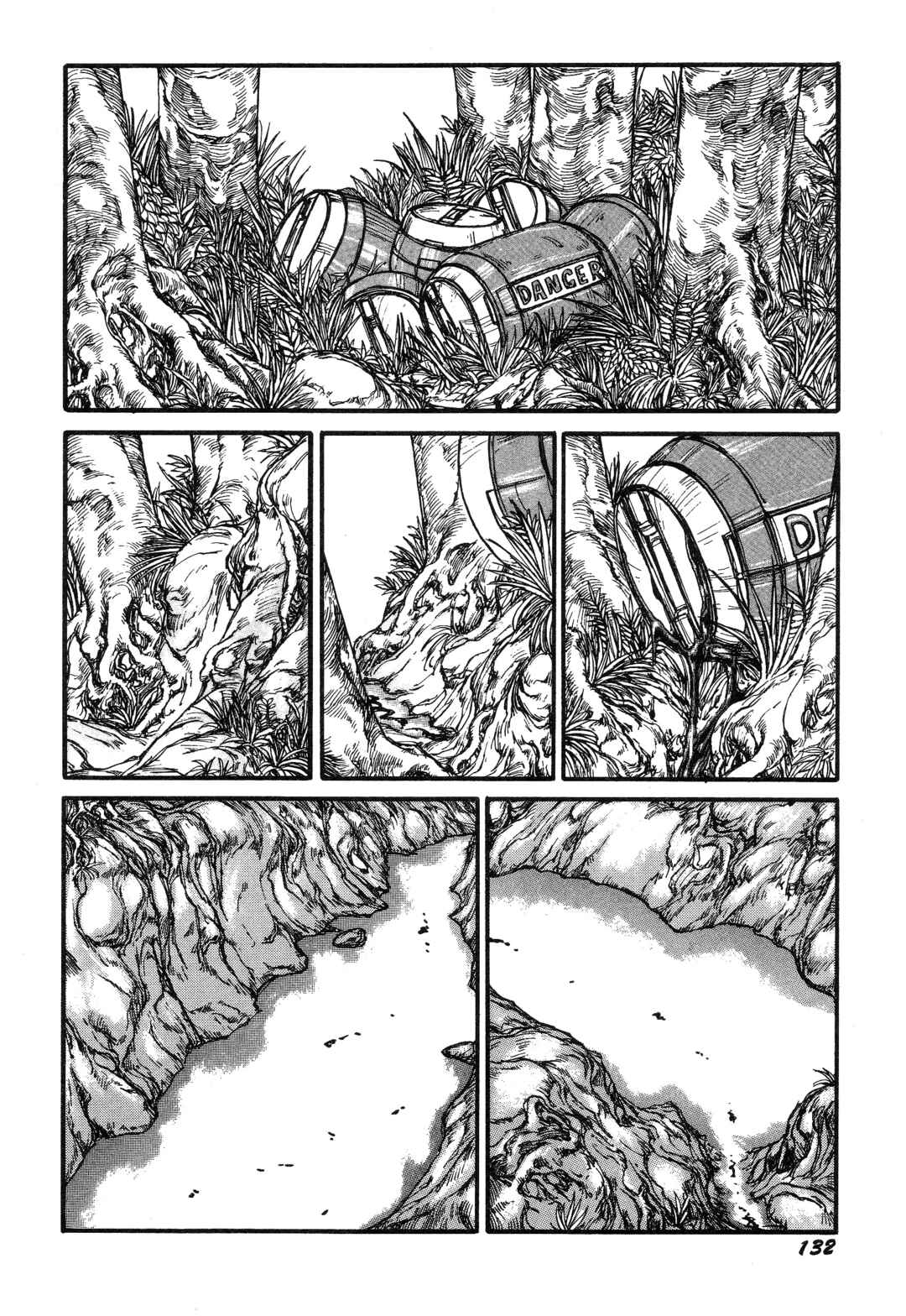 Page 2 Chapter 9 More Than Human