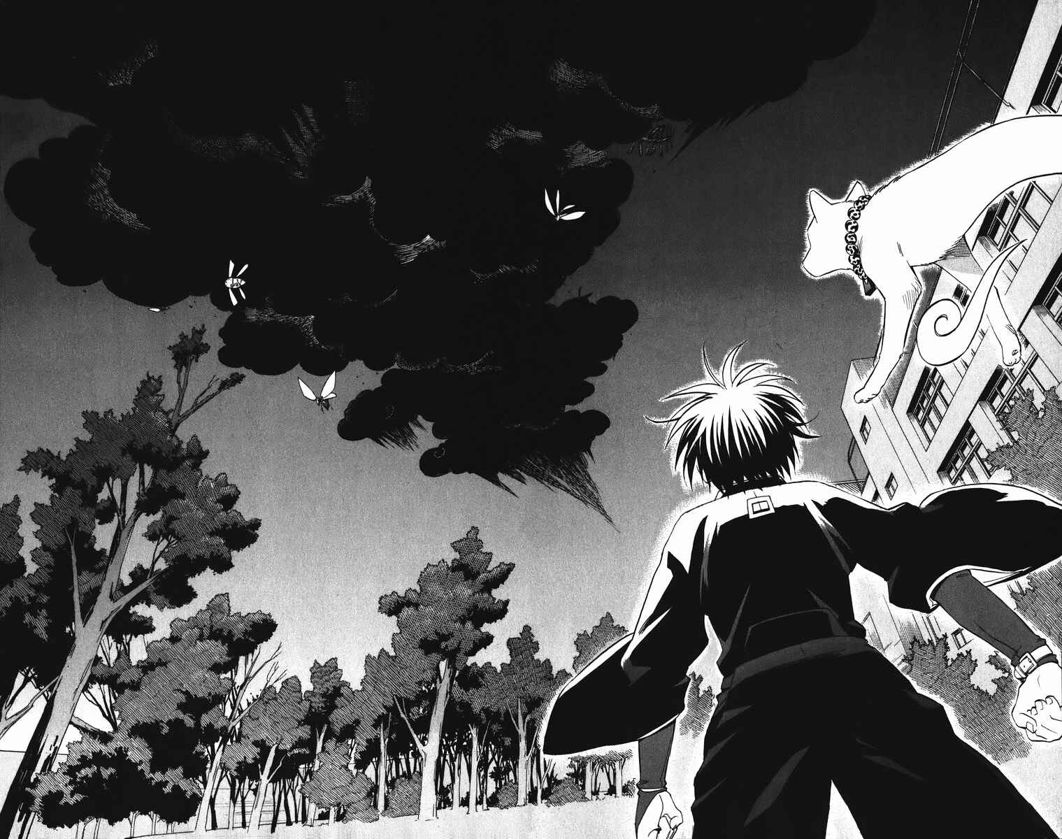 Page 17 Chapter 88 Kekkaishi