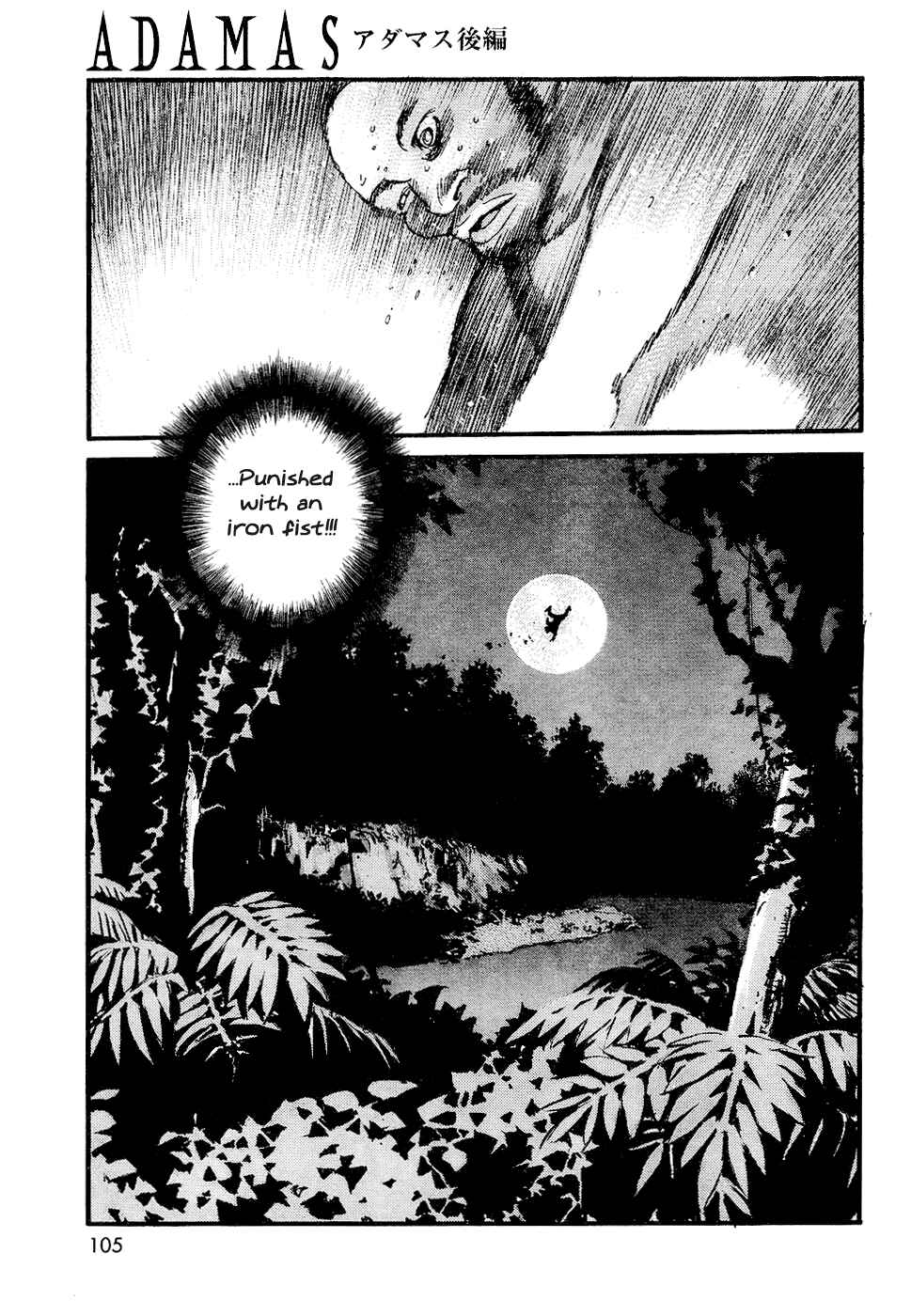 Page 19 Chapter 2 Adamas