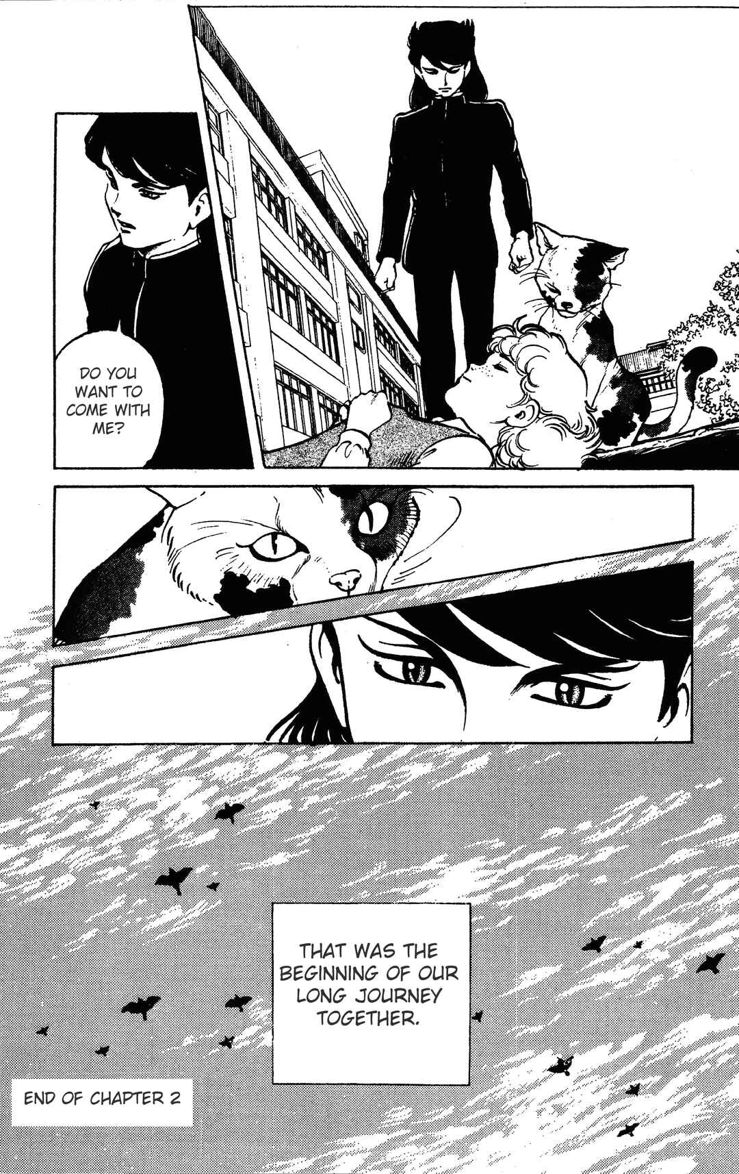 Page 26 Chapter 2 Dark Cats