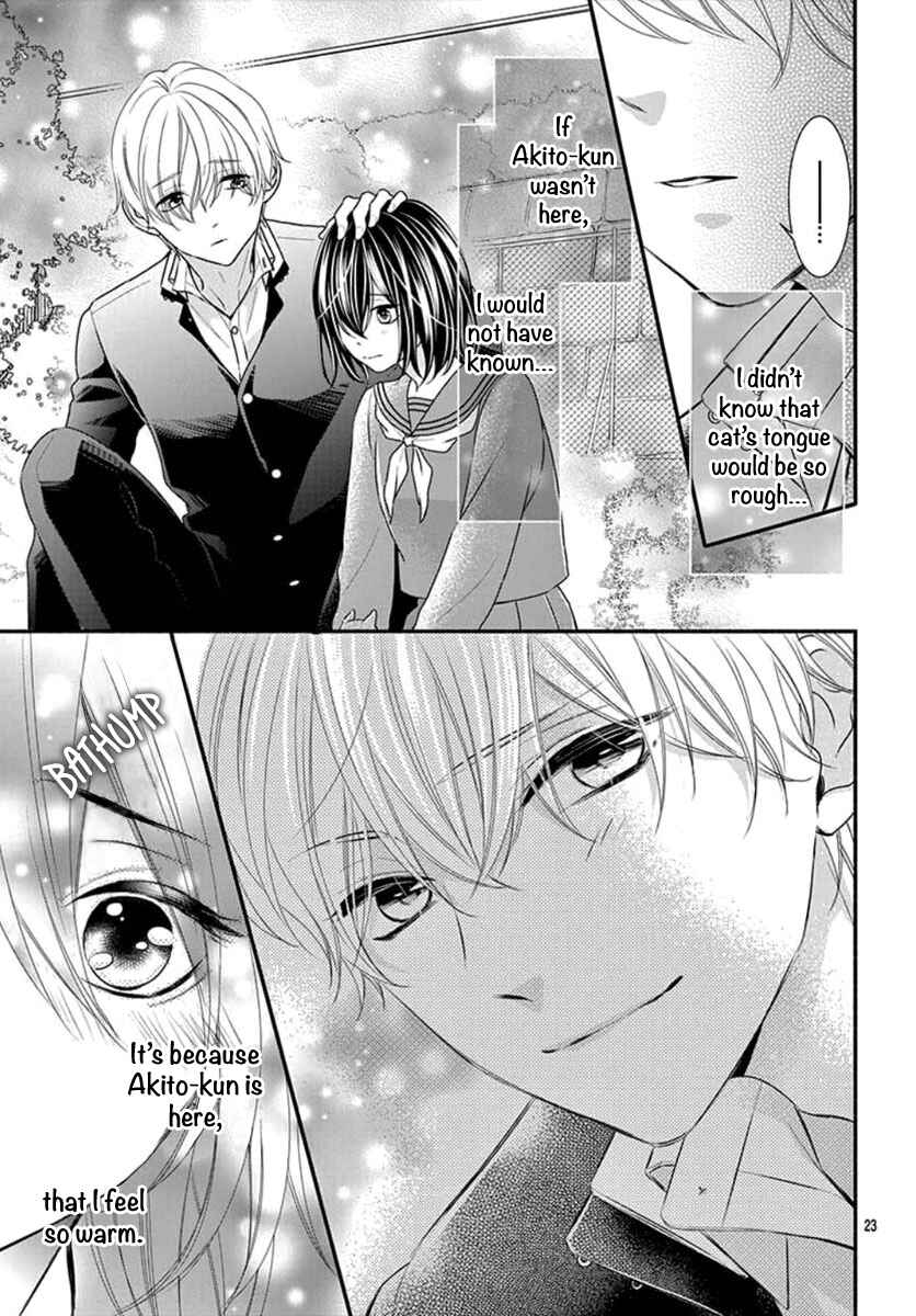 Page 25 Chapter Unknown_203b Noraneko to Hidamari