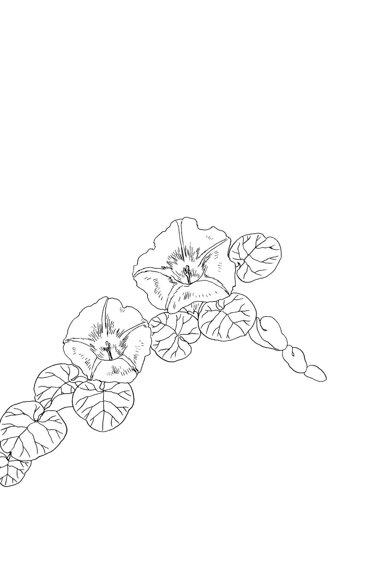 Page 35 Chapter 4 The Land Is a Garden in Your Pocket