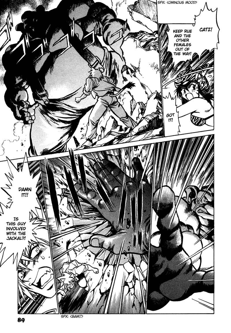 Page 19 Chapter 3 The Wild Kingdom