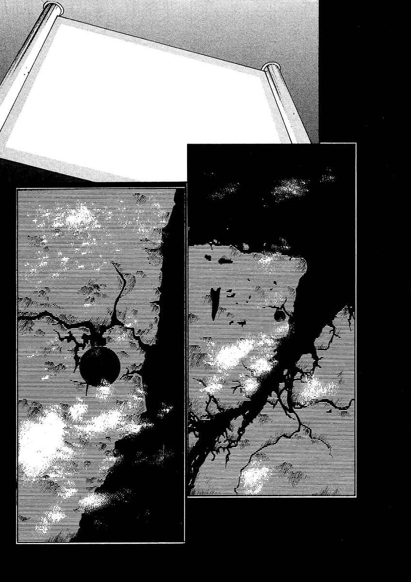 Page 21 Chapter 21 Verdant Lord