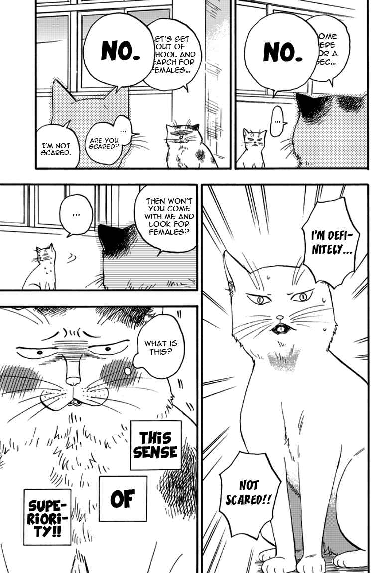 Page 17 Chapter 2 Ore wa Busamen - Neko Tsudzuri