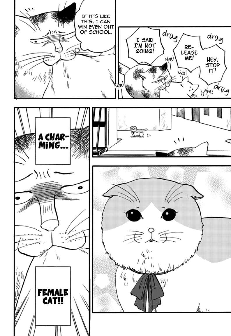 Page 18 Chapter 2 Ore wa Busamen - Neko Tsudzuri