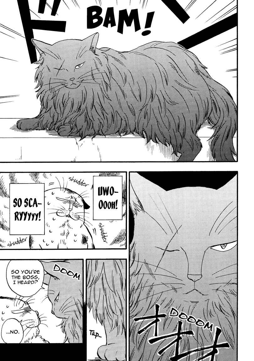 Page 5 Chapter 5 Ore wa Busamen - Neko Tsudzuri