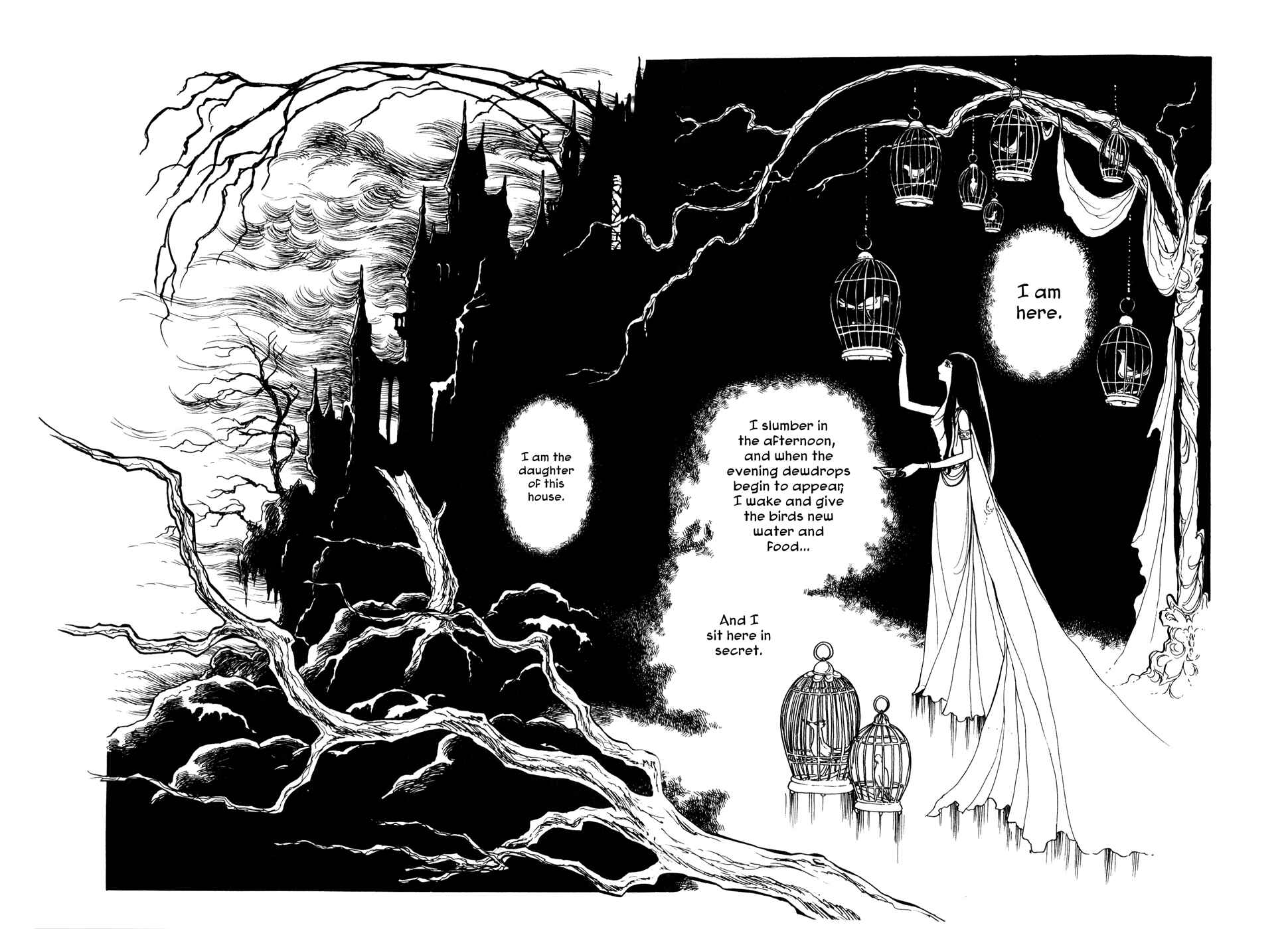 Page 3 Chapter Unknown_3b1e Night Flower