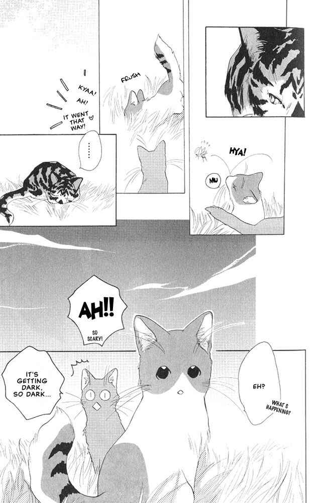 Page 8 Chapter 4 Shippo no Kimochi