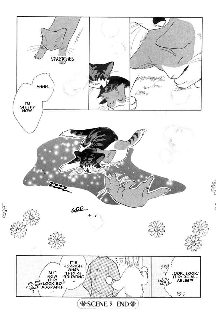 Page 8 Chapter 3 Shippo no Kimochi